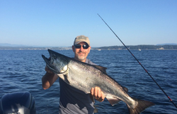 Shinny Salmon In British Columbia 